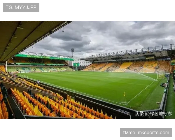 诺维奇卡罗路球场焕然一新，球迷观赛体验全面升级