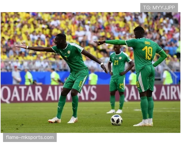 美洲杯最新赛况与媒体分析